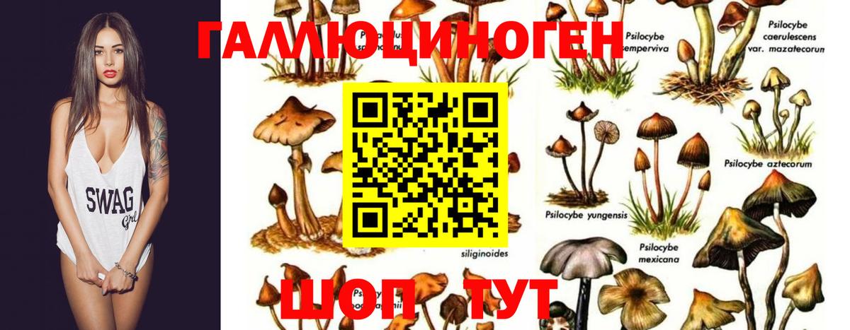 Лесозаводск  Псилоцибиновые грибы Magic Shrooms  Галлюциногенные грибы прущие грибы  Вход с VPN 